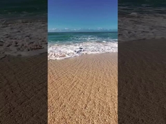 Vùng chơi trò chơi sân chơi DTV điện theo dõi xe tay ga ETV xe tuyết ATV